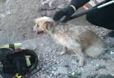 Rescate de perros -Polica Local y Bomberos