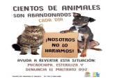 Campa�a de tenencia responsable de animales de compa��a