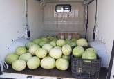Hermanitas de los Pobres de Cartagena con las sandias entregadas por la Polic�a Local