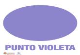 Cartel sealizador del Punto Violeta 