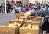 Marcha Solidaria Unidos por la Diabetes