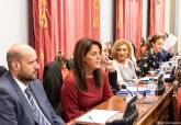 Pleno Ordinario