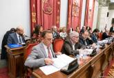 Pleno Ordinario