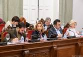 Pleno Ordinario