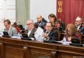 Pleno Ordinario