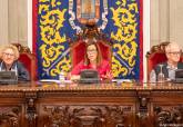 Pleno del Consejo Municipal de la Infancia de Cartagena