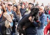 Misa y bendici�n de animales en San Ant�n