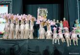 Quema Don Carnal y Entrega Premios Carnaval 2019