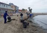 Limpieza manual de playas en el Mar Menor