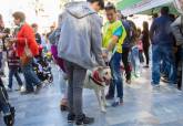 Feria de adopcin de perros