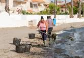 Recogida de algas y labores de limpieza en Punta Brava y Los Nietos