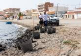 Recogida de algas y labores de limpieza en Punta Brava y Los Nietos