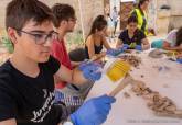 Campo de Voluntariado Juvenil 'Baja a la arena y toca la Historia'