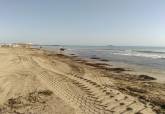 Limpieza y retirada de algas en playas del litoral cartagenero