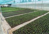 Preparaci�n de plantaci�n en el Vivero Municipal 