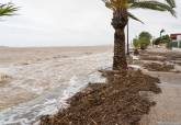 El Gobierno municipal supervisa la recuperacin del litoral del Mar Menor y las zonas oeste y norte afectadas por la gota fra