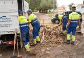 El Gobierno municipal supervisa la recuperacin del litoral del Mar Menor y las zonas oeste y norte afectadas por la gota fra