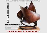 Exposicin 'Oxide Lover' de Fernando Senz de Elorrieta