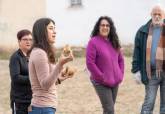Plantacin de Huerto Ecolgico en San Antn