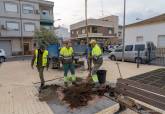 Reposición de arbolado en la plaza de la Iglesia de Los Barreros
