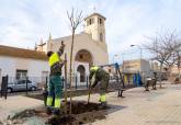 Reposición de arbolado en la plaza de la Iglesia de Los Barreros