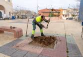 Reposición de arbolado en la plaza de la Iglesia de Los Barreros