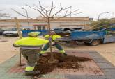 Reposición de arbolado en la plaza de la Iglesia de Los Barreros