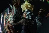 Preg�n Carnaval 2020