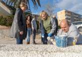 Los limpiaplayas retiran 175 toneladas de algas de las playas del Mar Menor sur