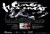 Cartel cine y flamenco