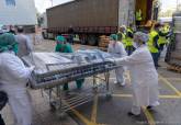 Personal municipal y sanitario descargan el centenar de camas donadas por un empresario local al Rosell