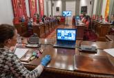 Pleno municipal telemático de debate de los presupuestos municipales de 2020