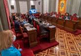 Pleno municipal telemático de debate de los presupuestos municipales de 2020