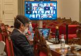 Pleno municipal telemático de debate de los presupuestos municipales de 2020