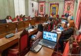 Pleno municipal telemtico de debate de los presupuestos municipales de 2020