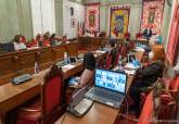 Pleno municipal telemático de debate de los presupuestos municipales de 2020