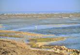El Ayuntamiento de Cartagena prepara una demanda judicial por inactividad de la administracin responsable de la retirada de secos y lodos en el Mar menor sur.