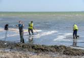 30 operarios contratados de urgencia por la CARM se unen a las tareas de limpieza del Mar Menor