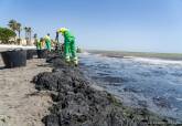 30 operarios contratados de urgencia por la CARM se unen a las tareas de limpieza del Mar Menor