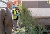 Visita y extracción de muestra de agua del solar del Paseo Alfonso XIII