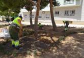 Adaptaci�n de los jardines del parque de la Roca para garantizar la conservaci�n de insectos polinizadores