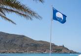 Bandera Azul Playa La Azoha
