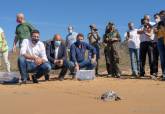 Diez tortugas bobas regresan a Calblanque tras un ao criadas en cautividad