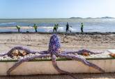 El Ayuntamiento de Cartagena ha remitido al Ministerio un programa de retirada de secos y fangos de las playas del Mar Menor sur