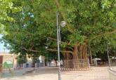 Protección de árboles monumentales para evitar caída de ramas