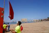 Proteccin Civil iza bandera roja en playas del Mar menor para reirar de la orilla peces muertos