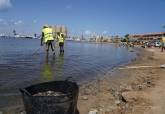 Personal de limpieza municipal retira peces muertos de las playas del Mar Menor