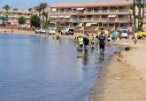 Personal de limpieza municipal retira peces muertos de las playas del Mar Menor