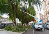 Operarios municipales subsanando los daos causados por la lluvia