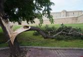 Operarios municipales subsanando los daos causados por la lluvia